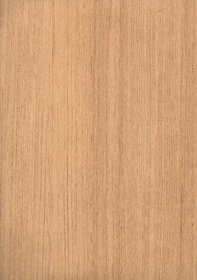 BE_351 MW