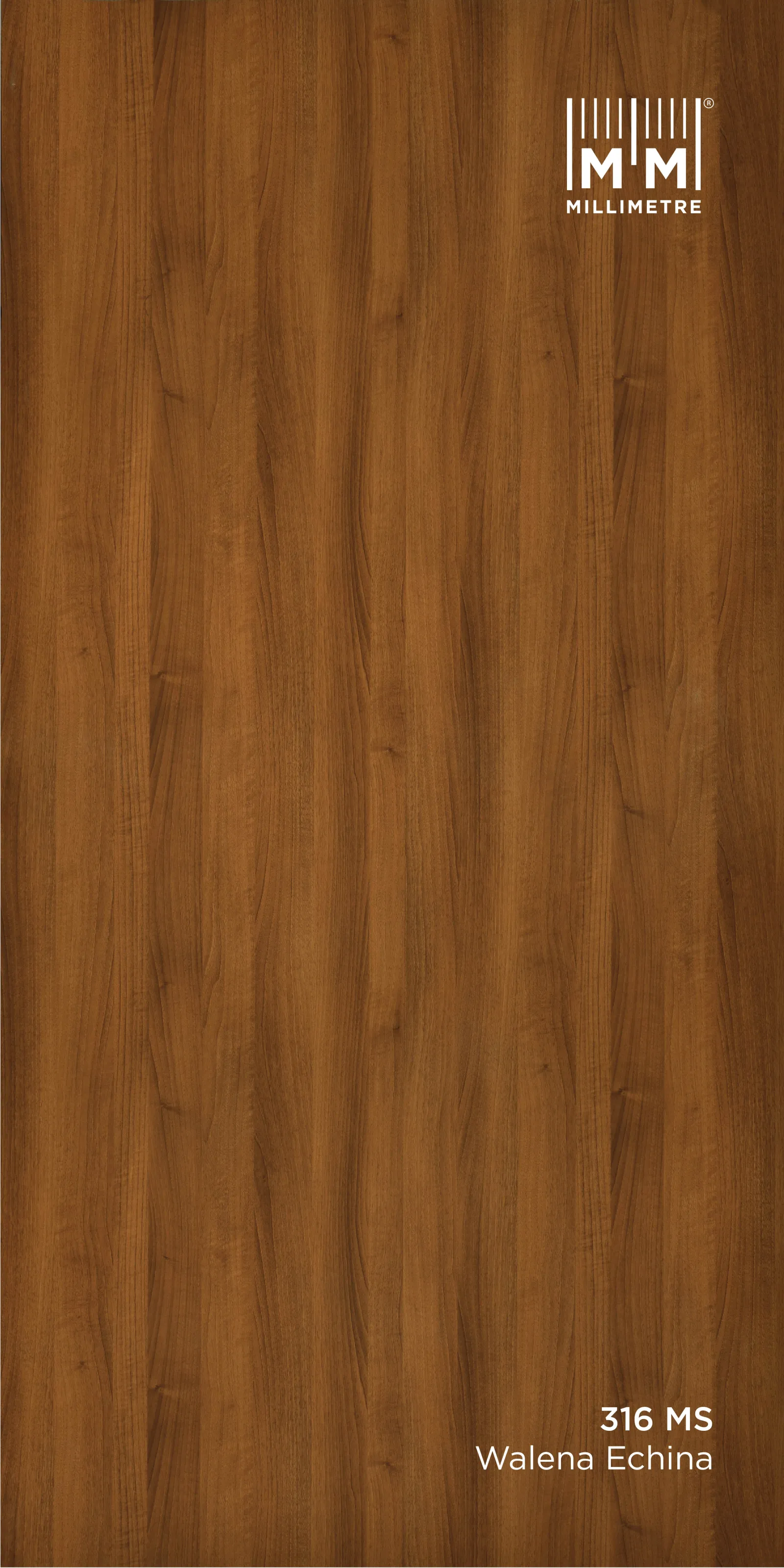 walena Echina 316 MS