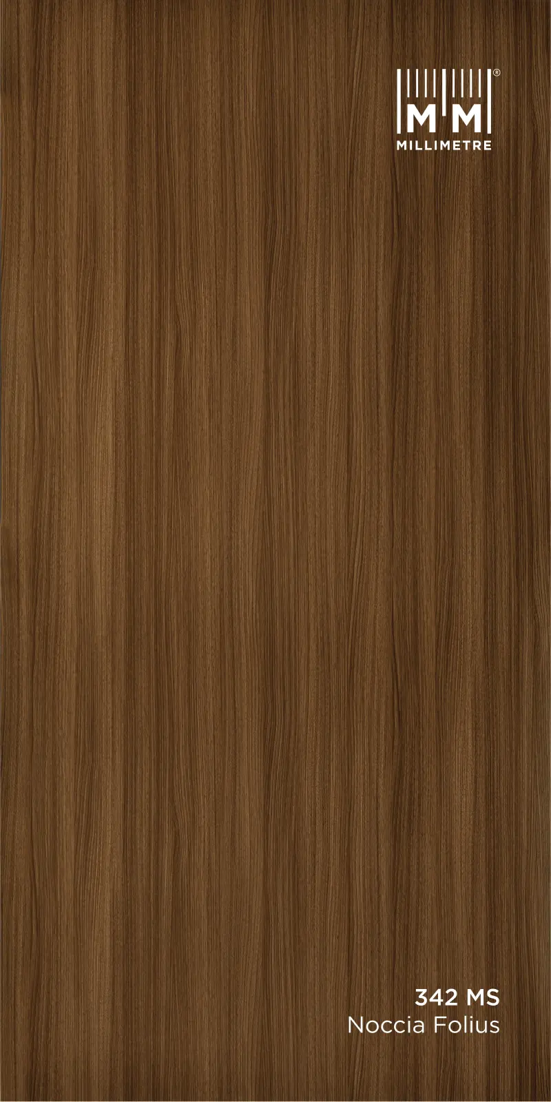 noccia Folius 342 MS