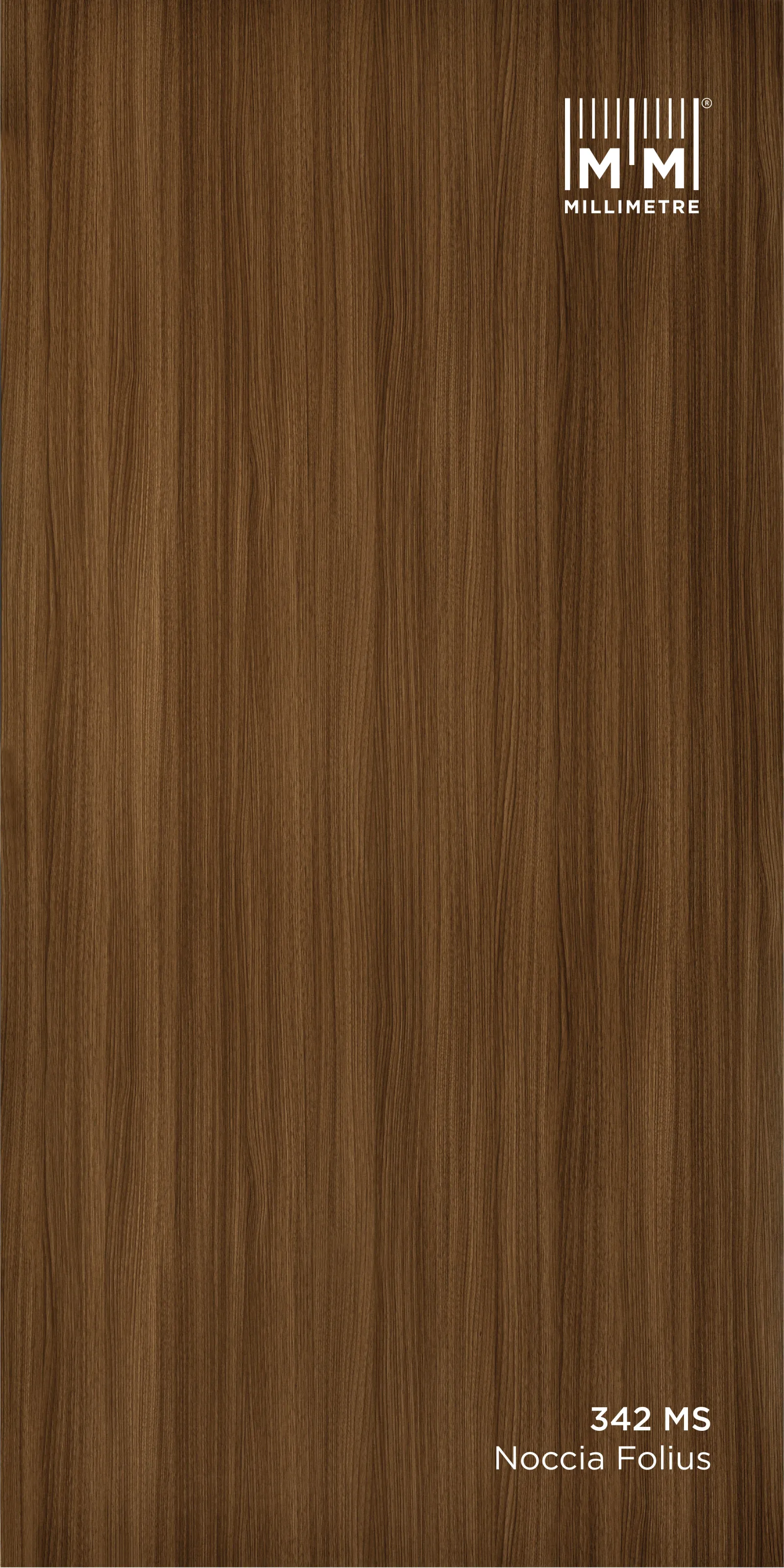 noccia Folius 342 MS