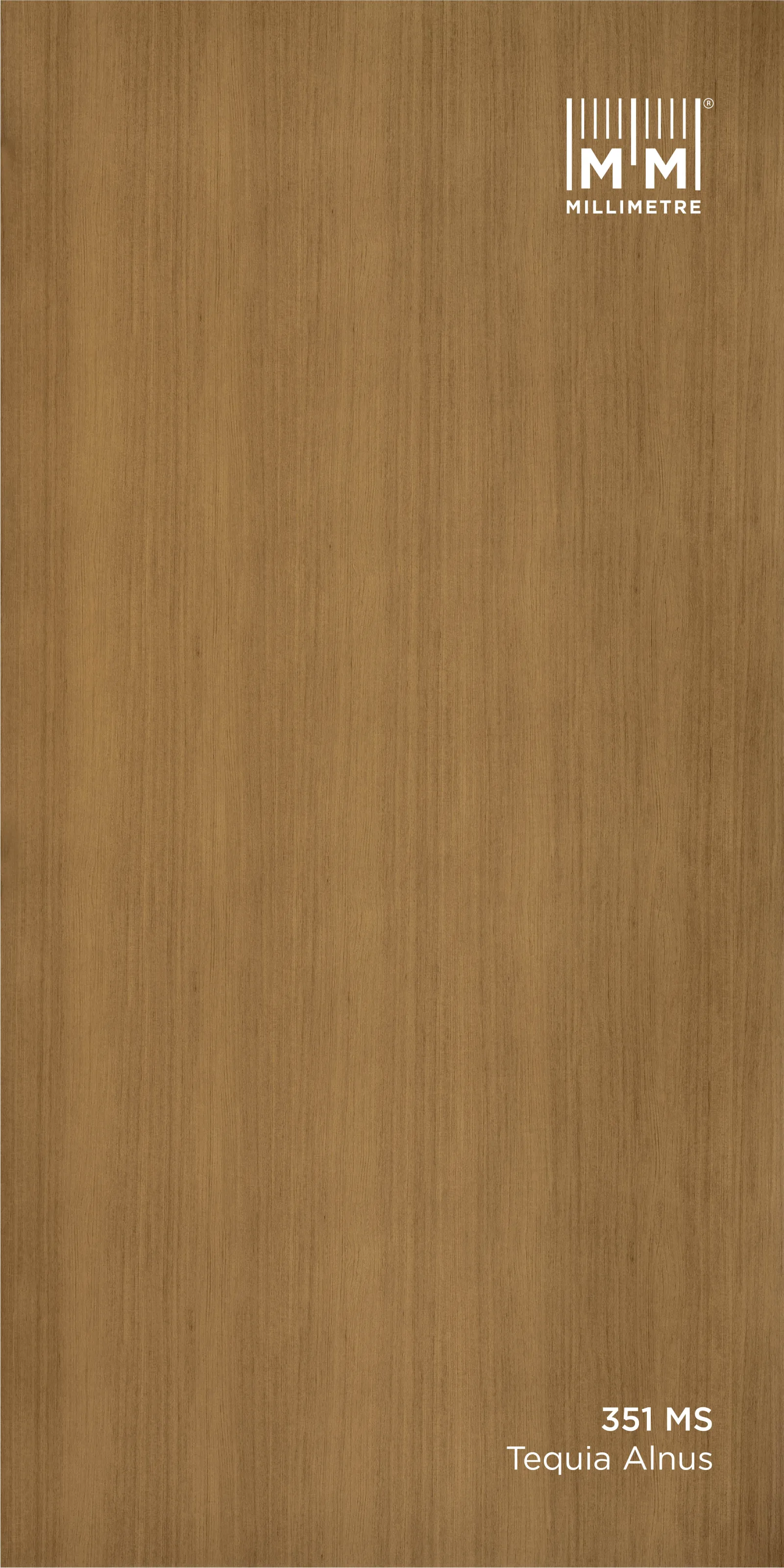 TEQUIA Alnus 351 MS