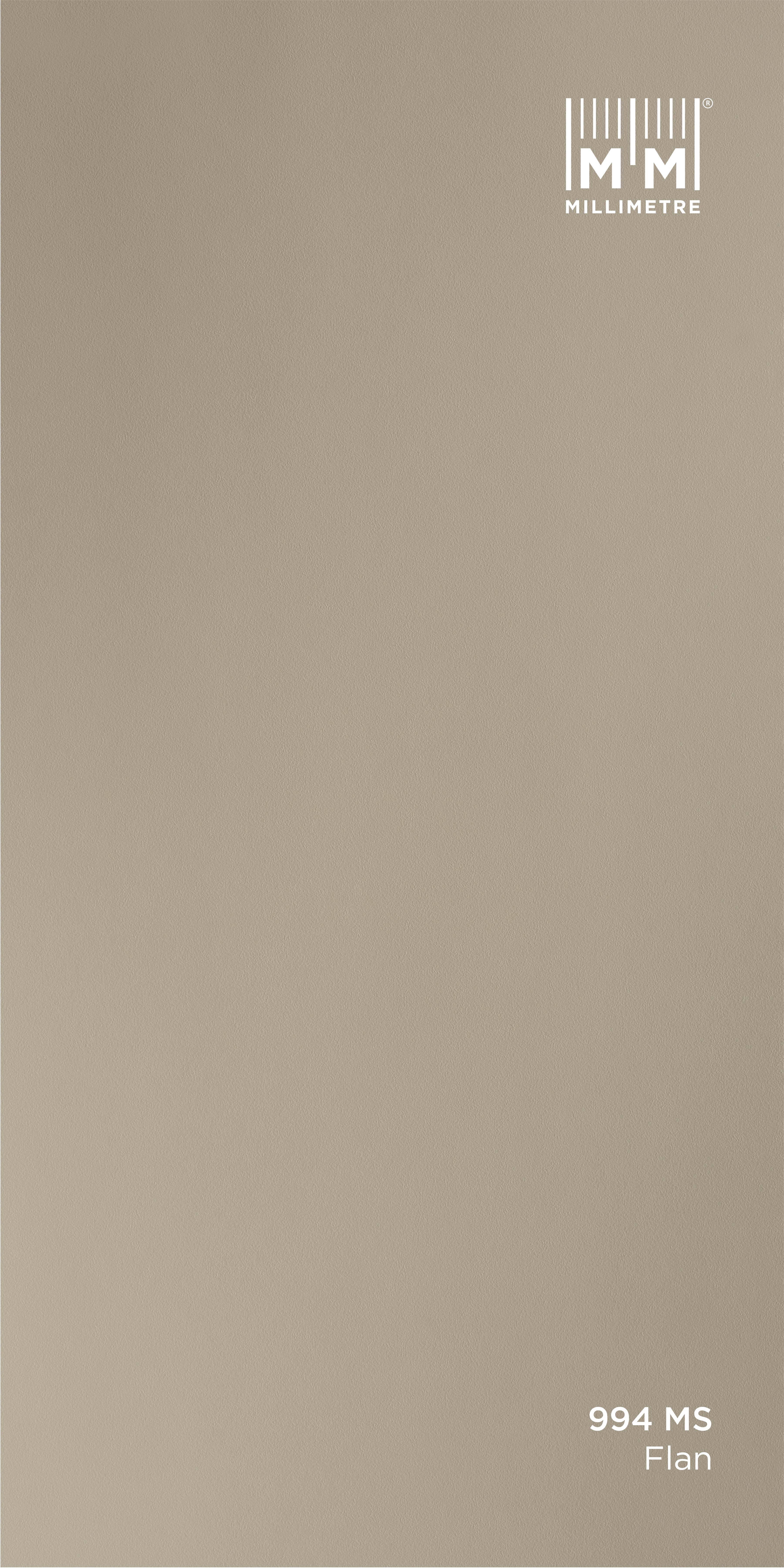 MODERN SUEDE