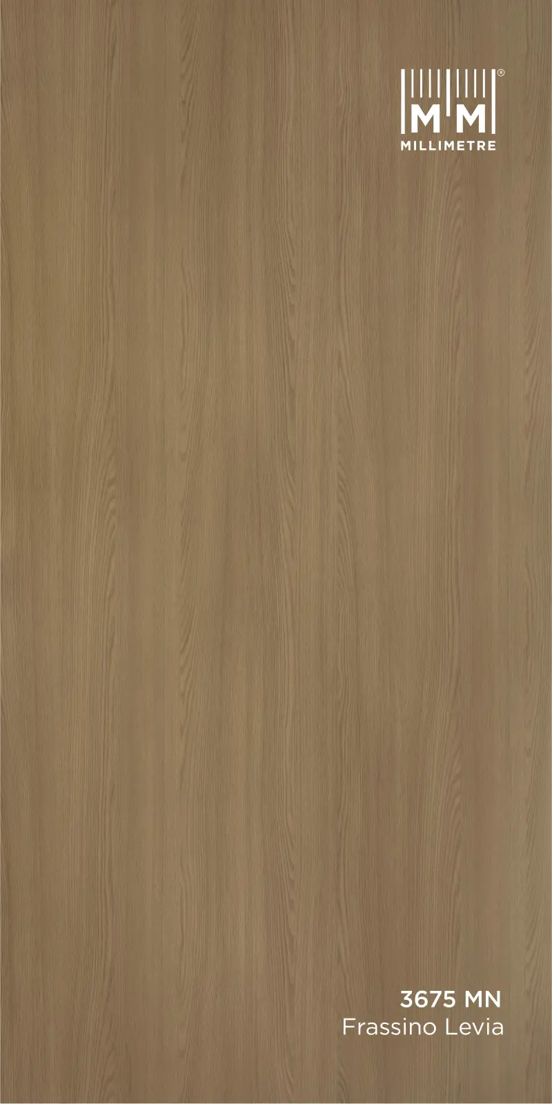 FRASSINO LEVIA 3675 MN