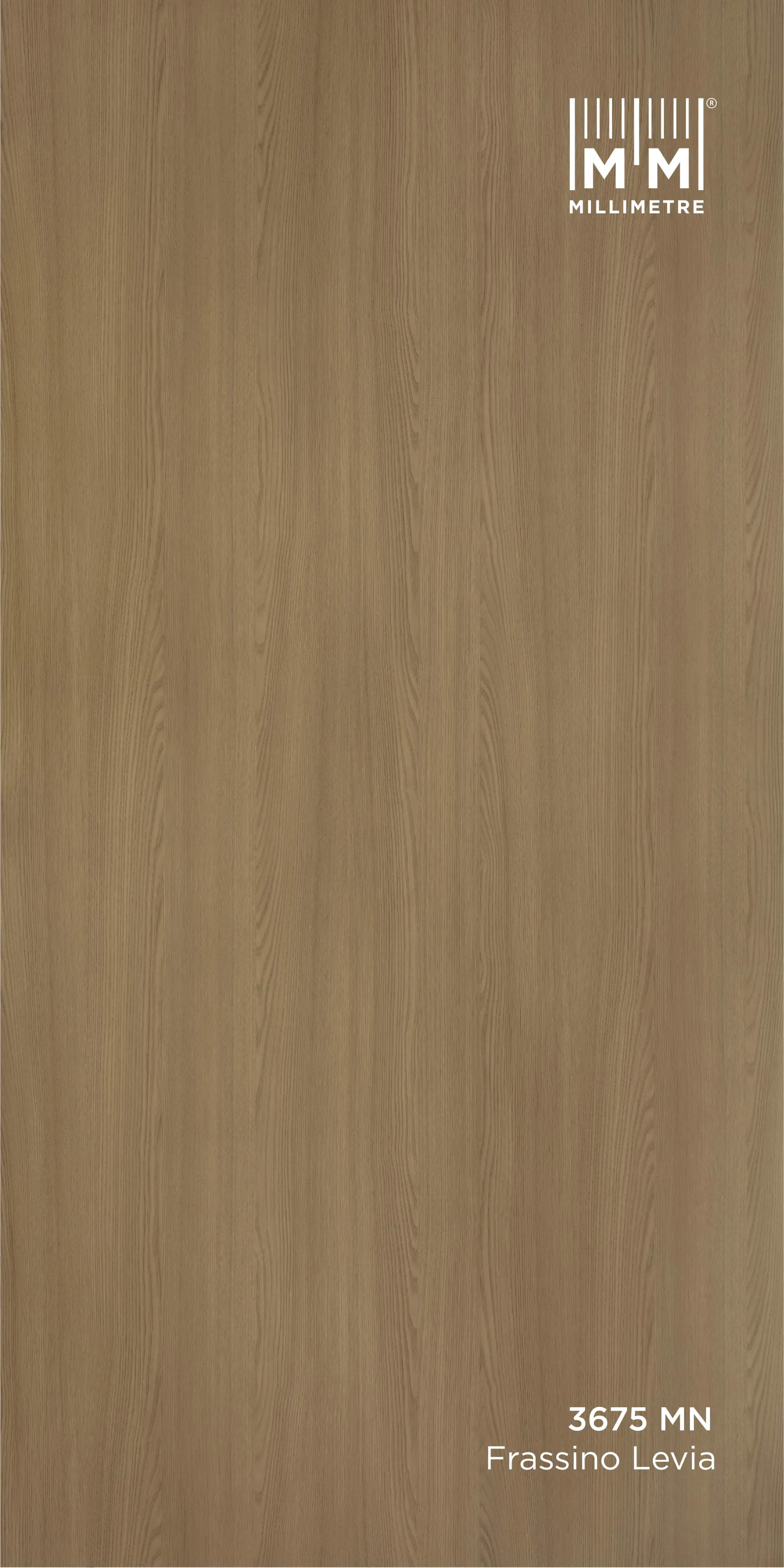 FRASSINO LEVIA 3675 MN